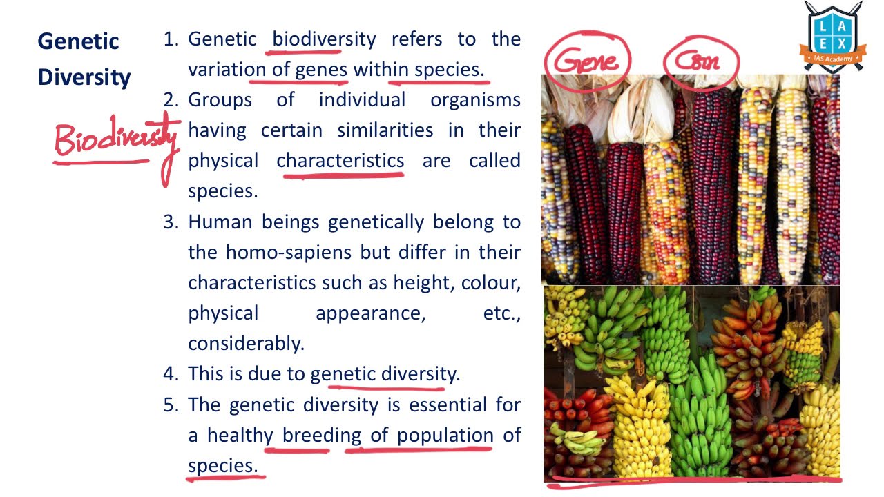 What is Genetic Biodiversity ? ||  Genetic Biodiversity అంటే ఏమిటి? || La Excellence