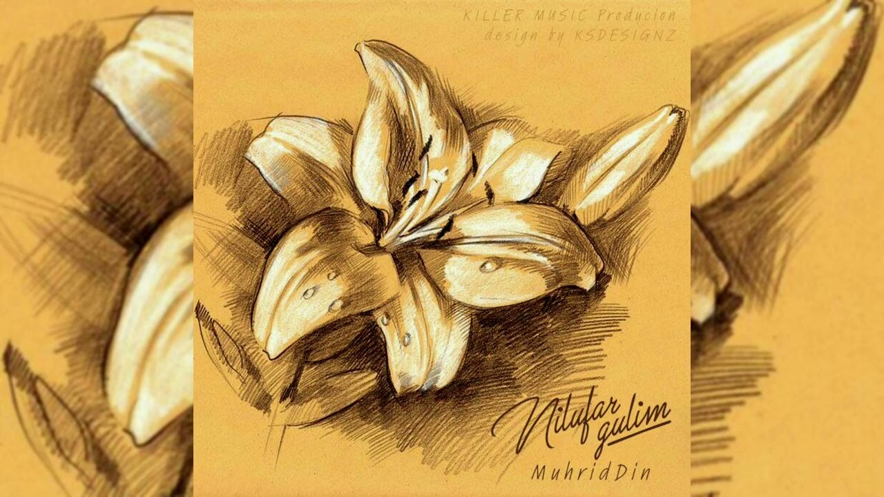 MuhridDin - Nilufar gulim mp3