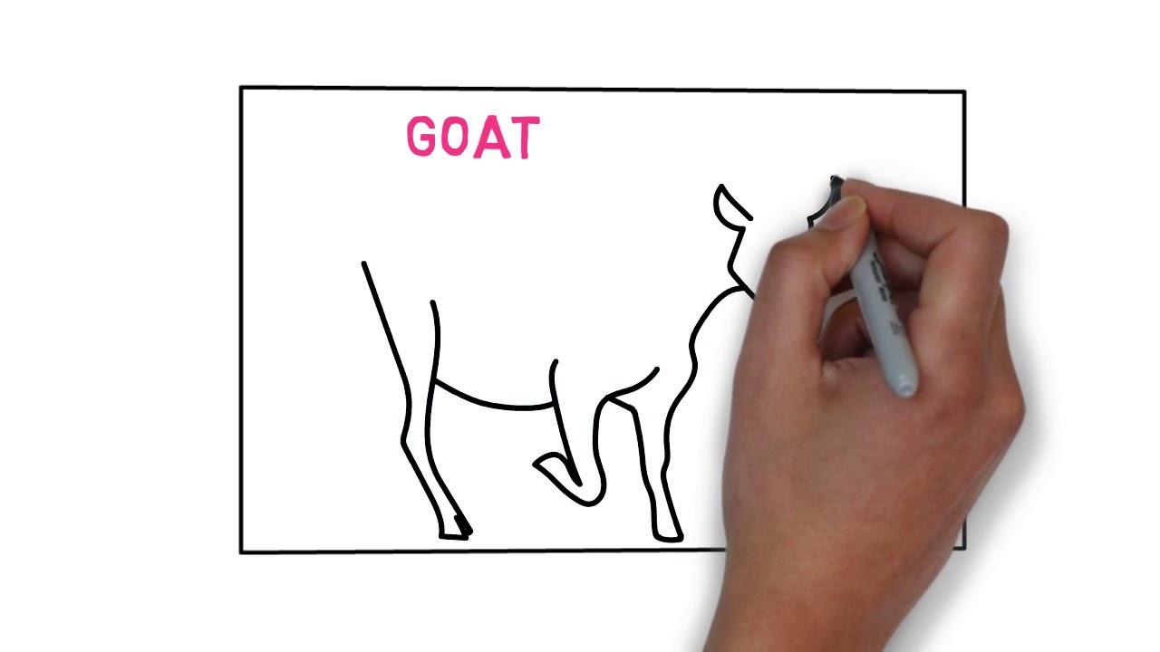 DRAW GOAT | How To Draw A Cute Cartoon Goat Easy Step by Step Kids Beginners children Goat Drawing
