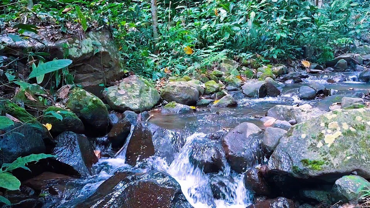 Deep Sleep with Gentle River Sounds