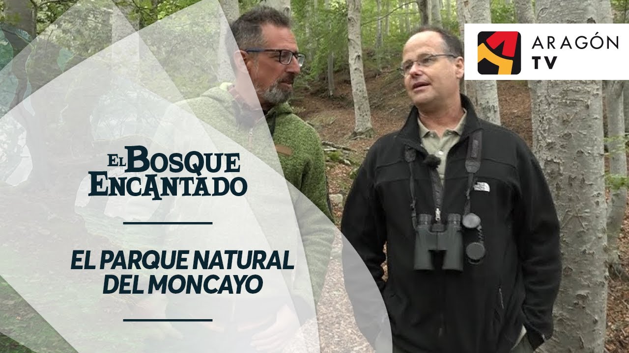 Recorremos el Parque Natural del Moncayo con el naturalista Eduardo Viñuales | MONCAYO