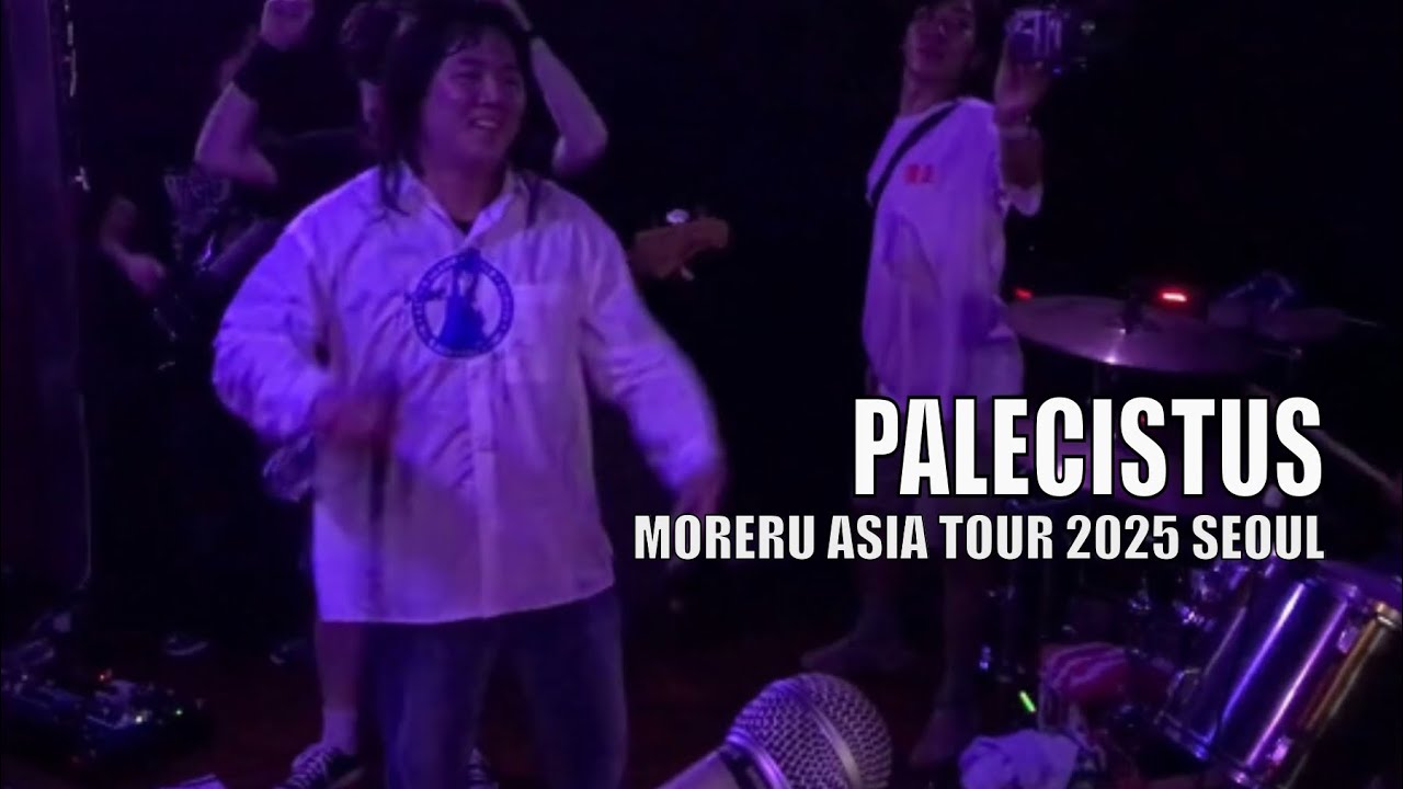 Palecistus Live at Babydoll | Korean Hardcore, Emo & Skramz Chaos from Seoul Underground