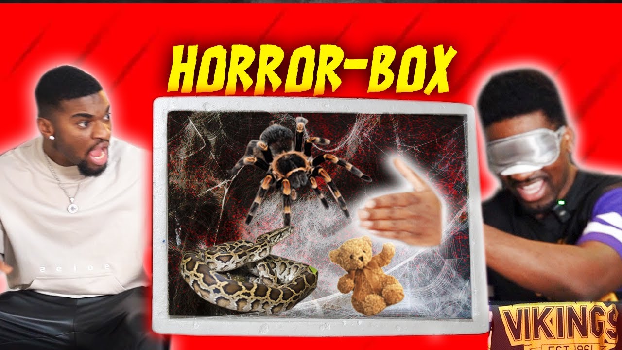 Was ist in der Box? (lebendige Tiere) / mit  @ahnice  &  @FrankyAllstar  LACHKICK 🕷🔥