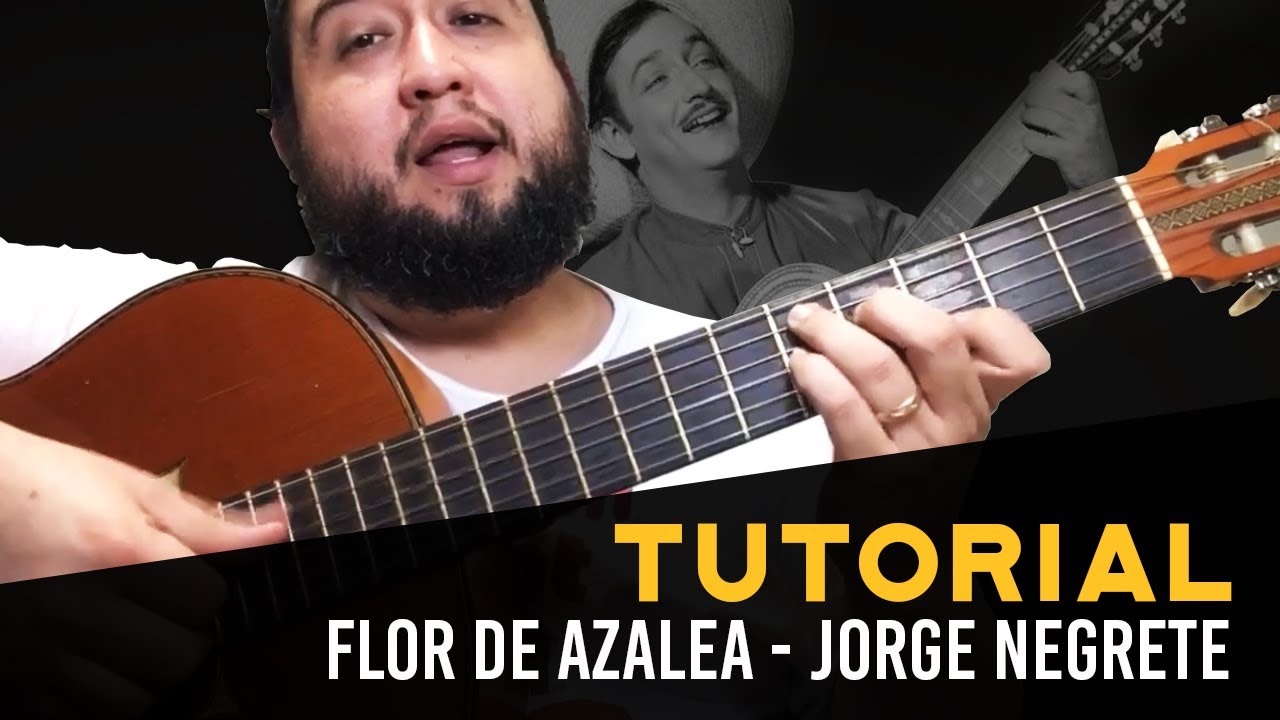 Jorge Negrete - Flor de azalea (Tutorial)
