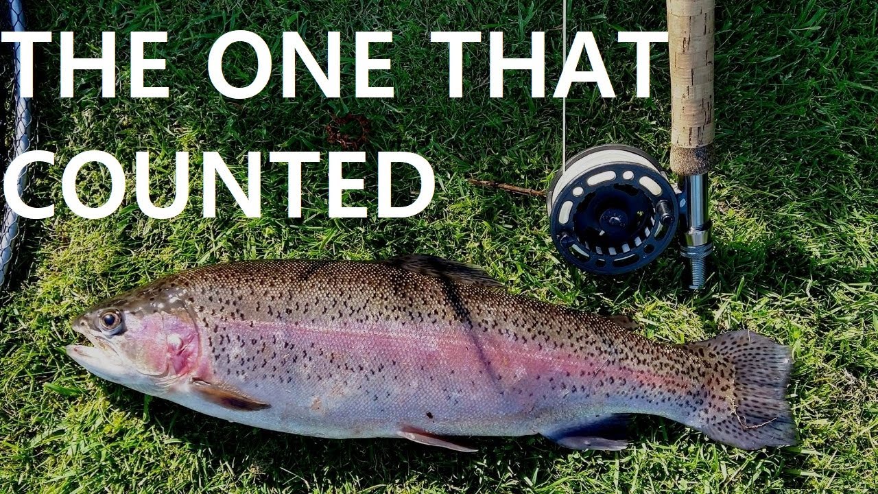 134. Buzzer Fishing For Difficult Stillwater Trout