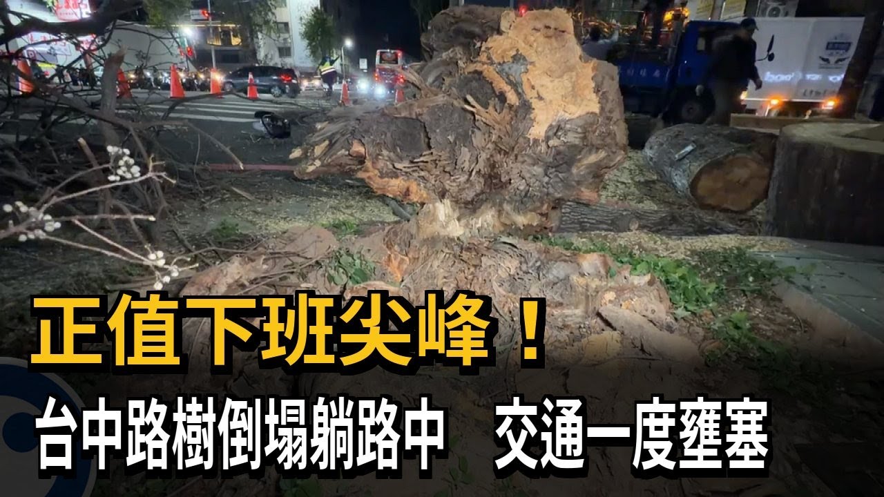 台中西屯區路樹倒塌！ 1車遭波及幸無人受傷－民視新聞