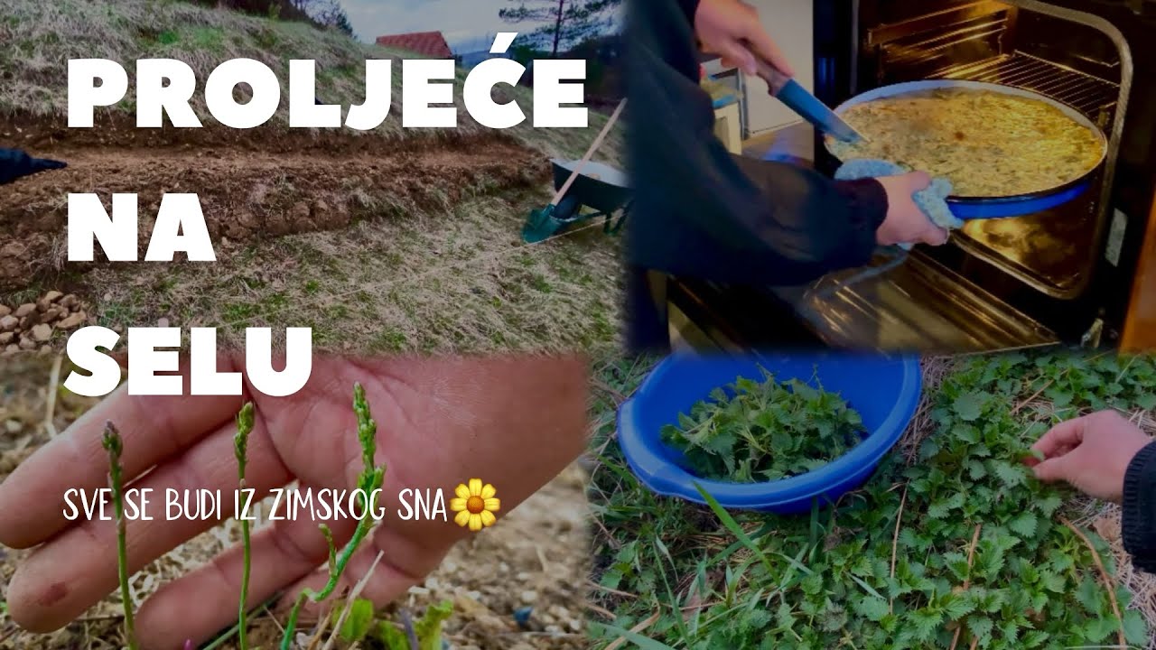 Serijal #3 DANA RAMAZANA🌙 | proljetne radinosti | pravim gredicu za🍓| mlada žara/kopriva |
