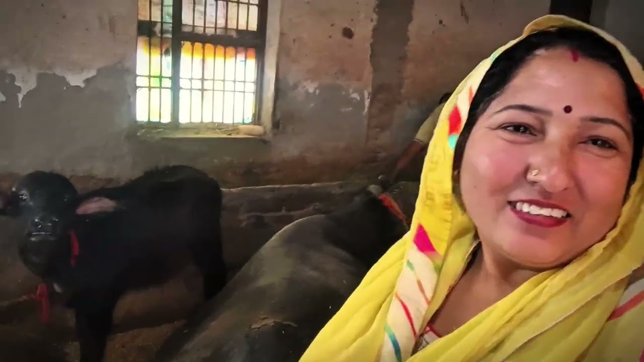 आज मैंने बनाये आलू और मैथी के पराठे 🙏🏻🙏🏻👍🏻👍🏻