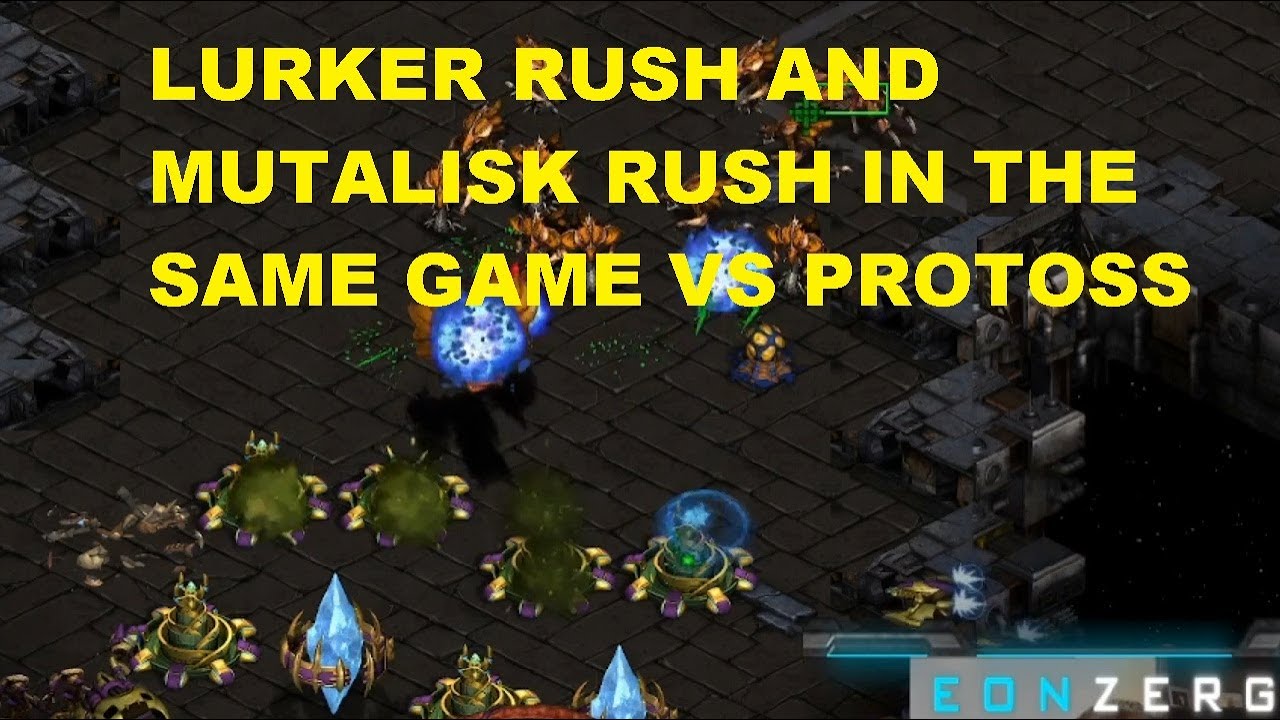 LURKER RUSH И MUTA RUSH В ОДНОЙ ИГРЕ ПРОТИВ ПРОТОССОВ