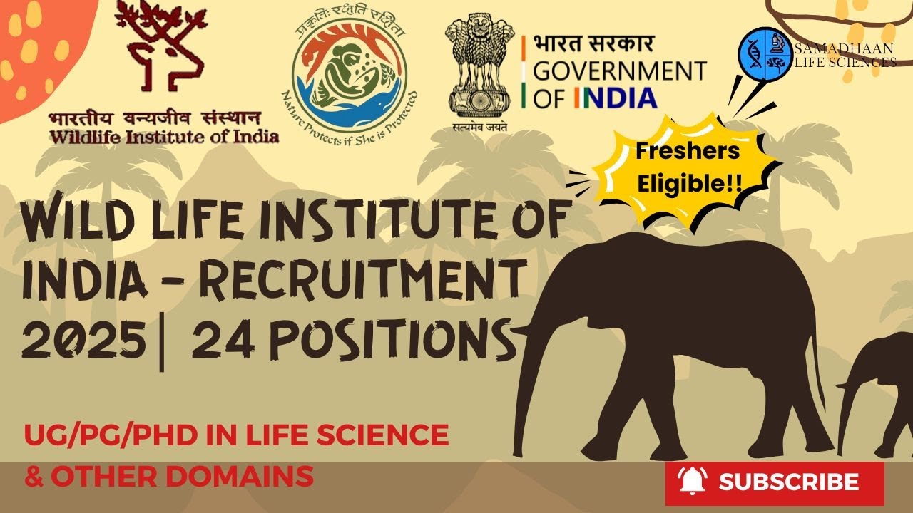 WII Recruitment 2025 | 24 Posts | UG/PG/PhD Eligible | Freshers Allowed | Apply Now