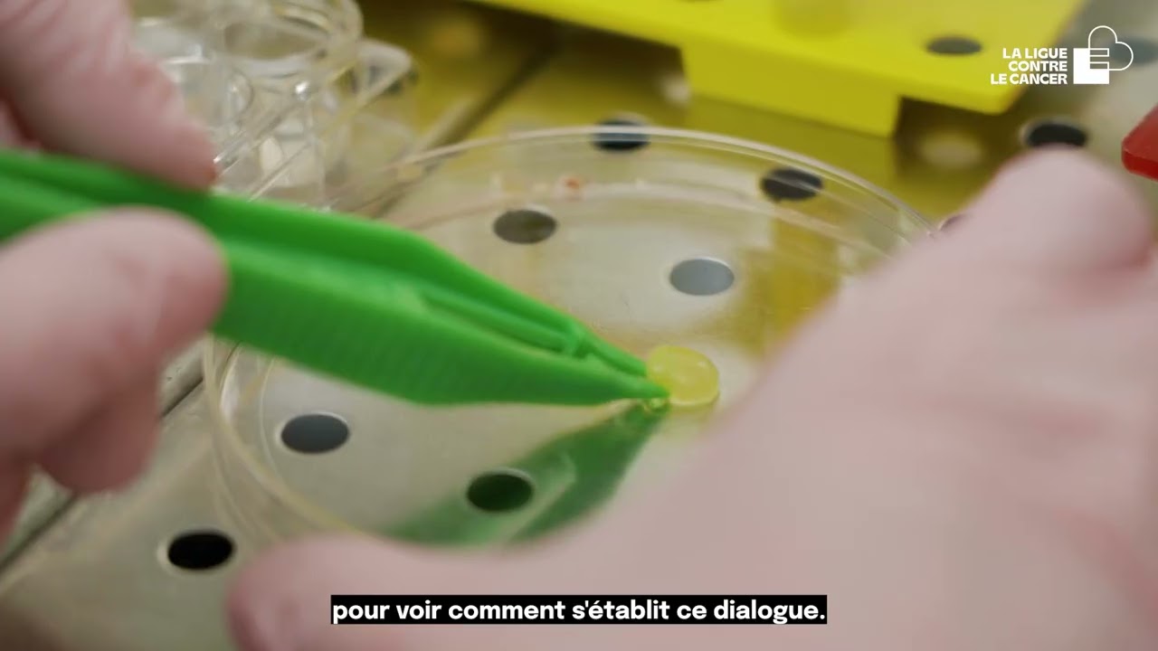 Obésité et cancer : une combinaison à risques 😬