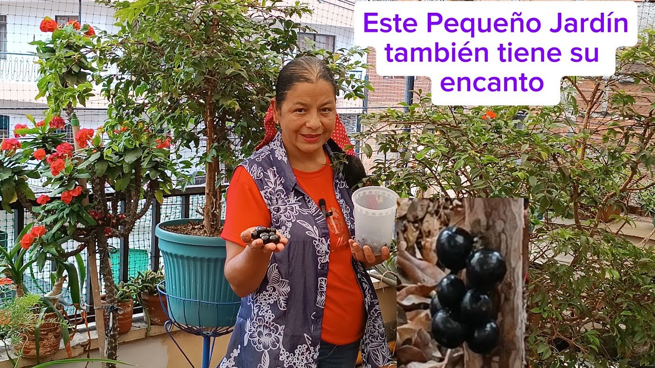 Recorriendo este Jardín, Disfrute de una Linda Cosecha 🤗🫐🧑‍🌾