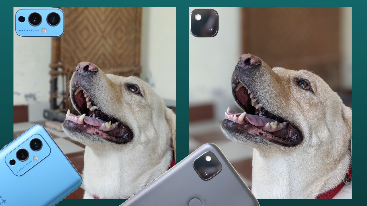 In-depth Camera Comparison ONEPLUS 9 vs PIXEL 4a! Did Oneplus Settle with HASSELBLAD??