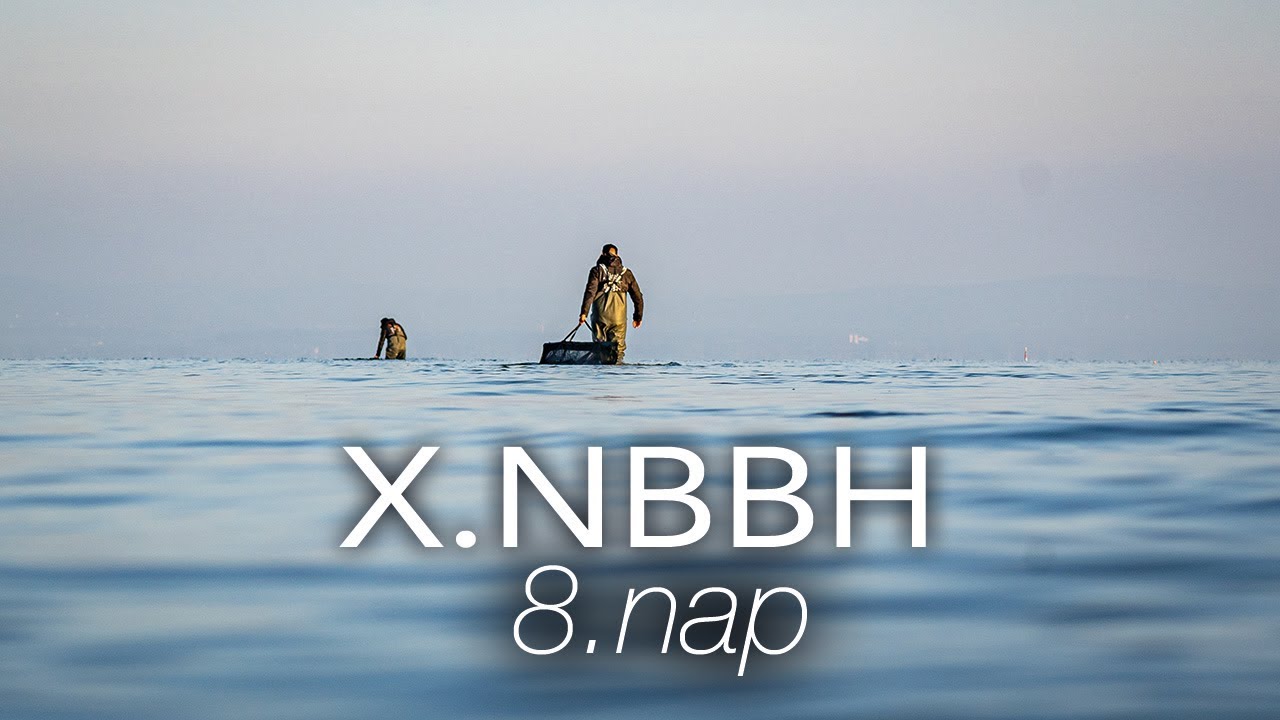 X. NBBH - 8. Nap Összefoglaló