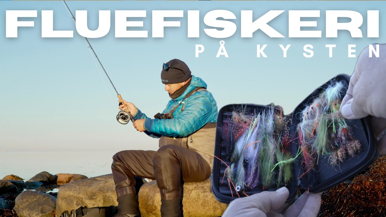 Fluefiskeri på kysten