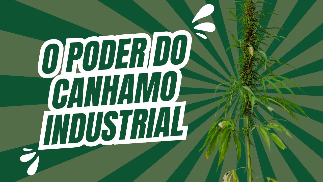 O Poder do C&acirc;nhamo Industrial