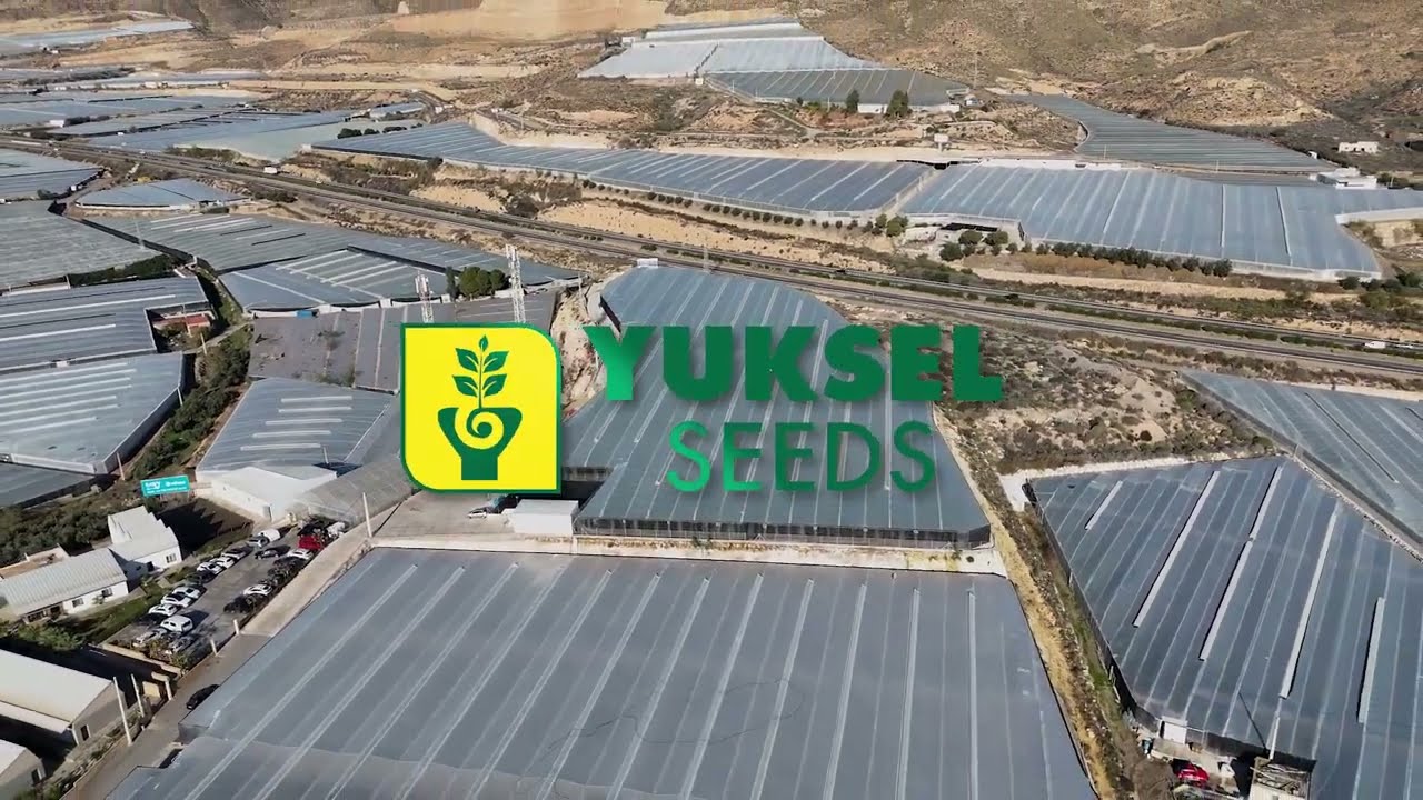 Nuevas instalaciones de Yuksel en España, en concreto en Vicar.