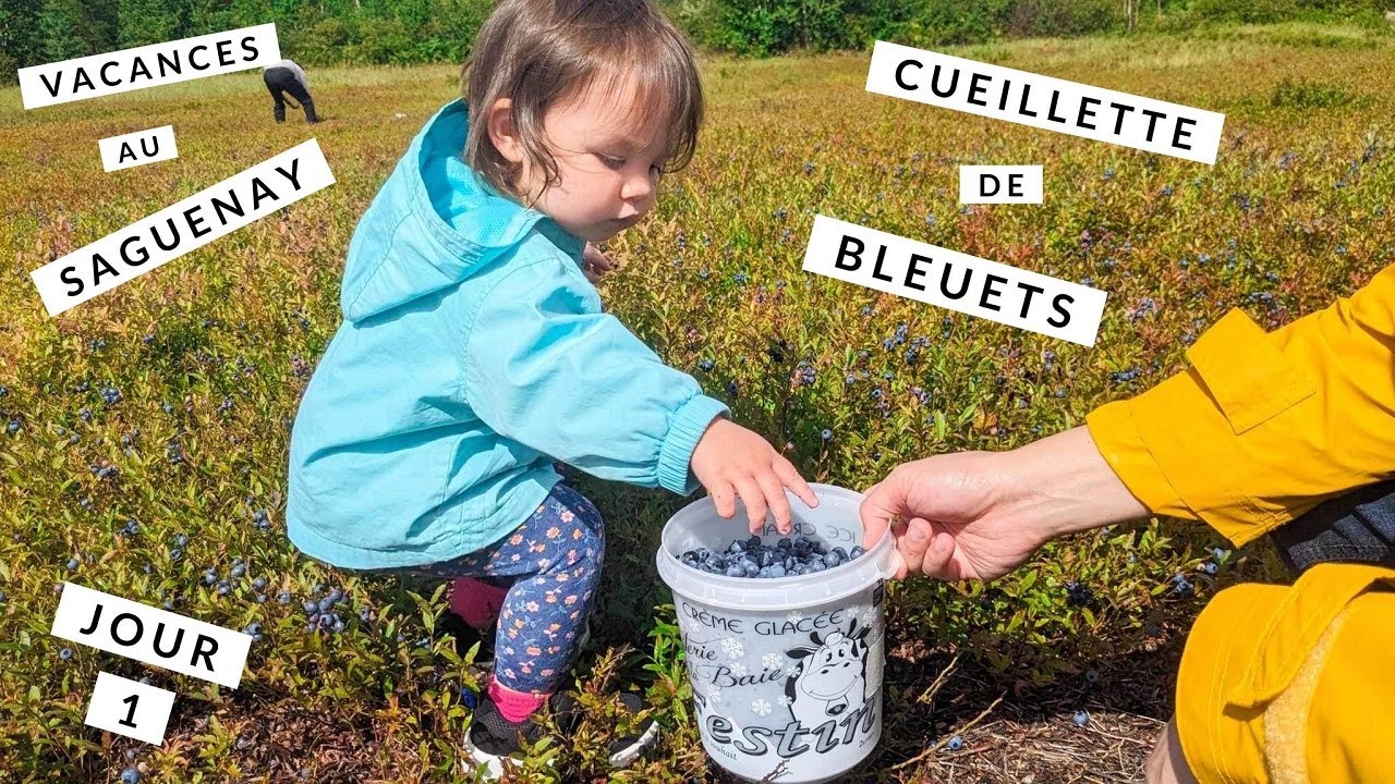 VLOG| Vacances au Saguenay : Fromagerie Boivin, Cueillette de Bleuets et Tartes avec ma Grand-Mère!