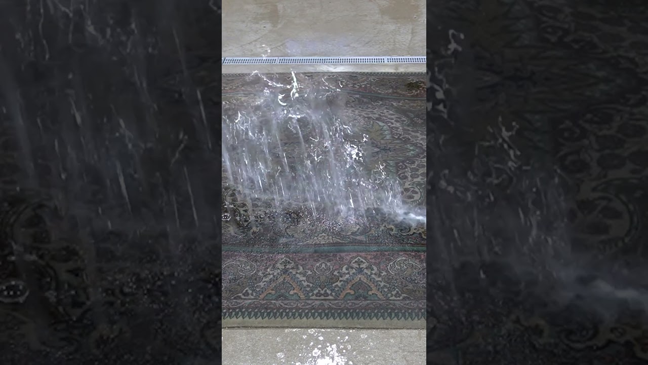This rare Persian rug got its first cleaning in more than two decades. #rug #Persian #deepcleaning