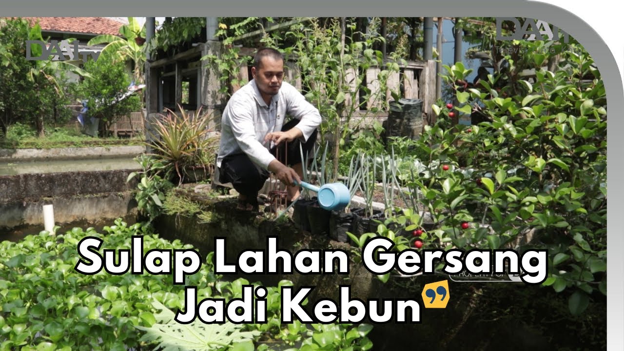 Semua bisa berkebun! Asal ada lahan, kita upayakan berkebun sayur di rumah