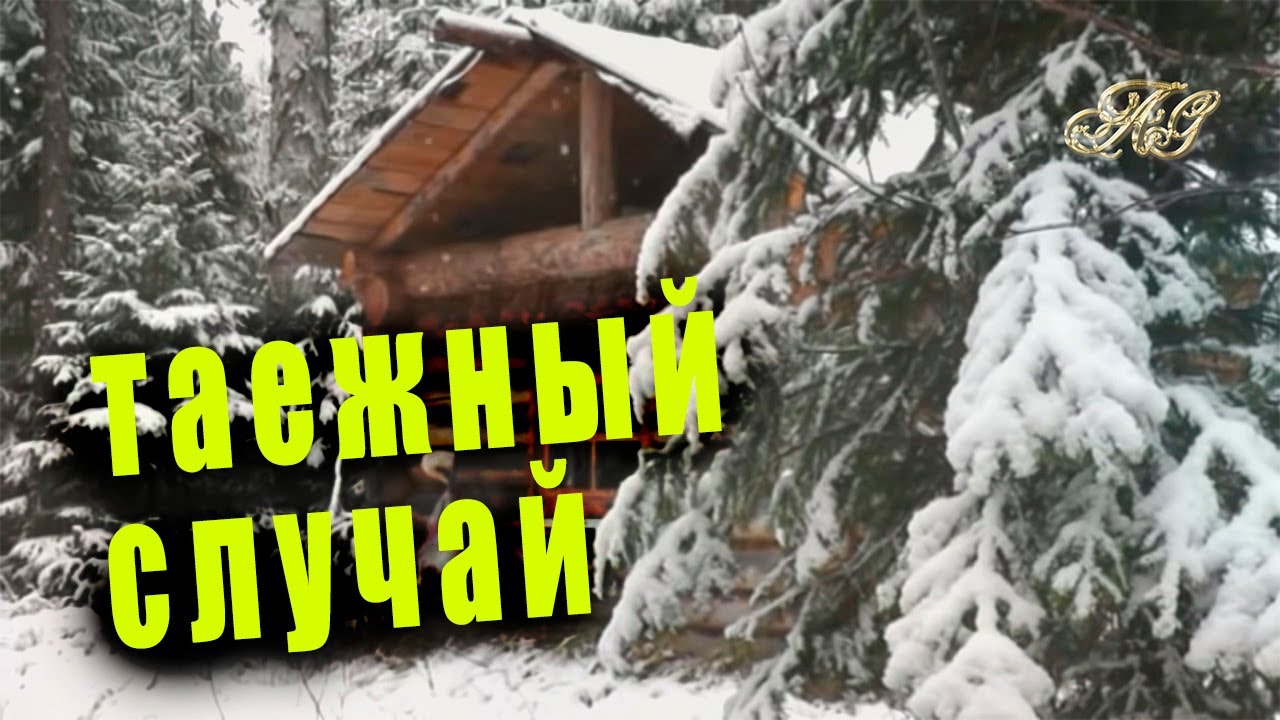 🐻/Никак эта костлявая за мной пришла, с тоской подумал Кузьмич,  глядя в окошко/