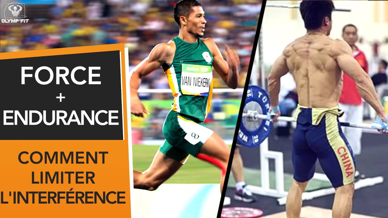 MUSCULATION et CARDIO : Quand, Comment ? Effet d'interférence entraînement combiné Force Endurance