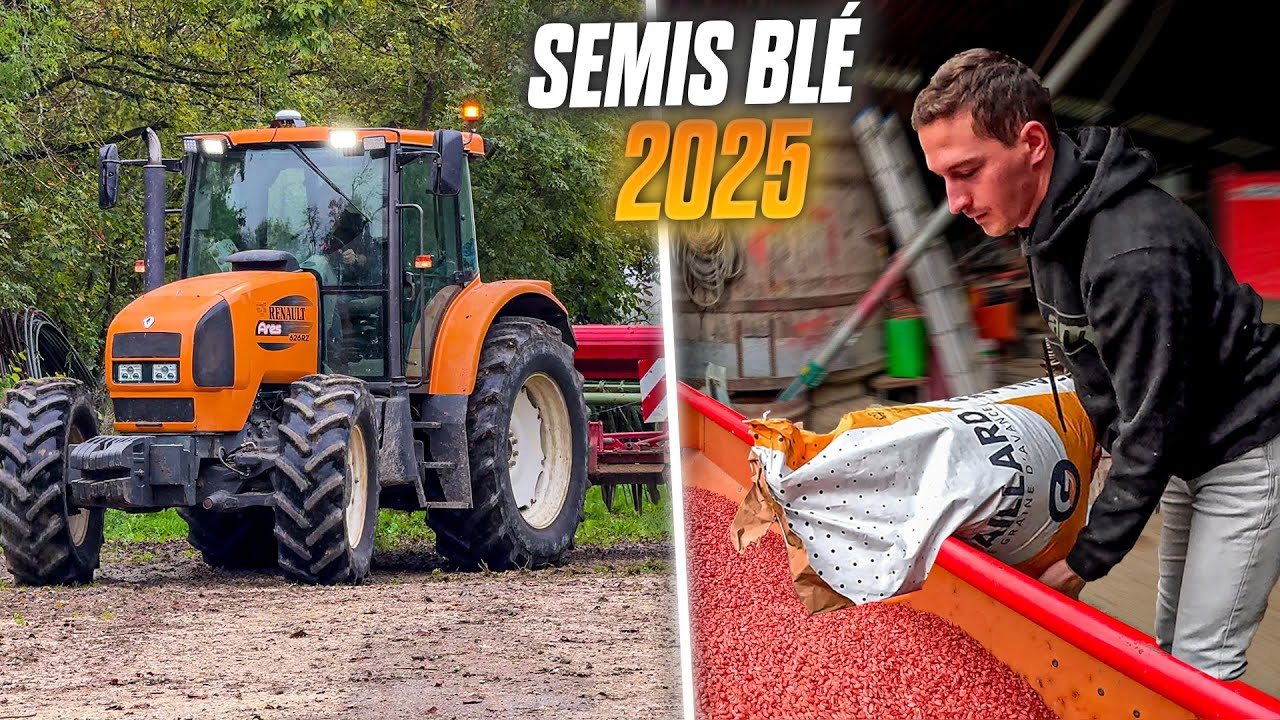SEMIS DE BLÉ ENTRE LES GOUTTES