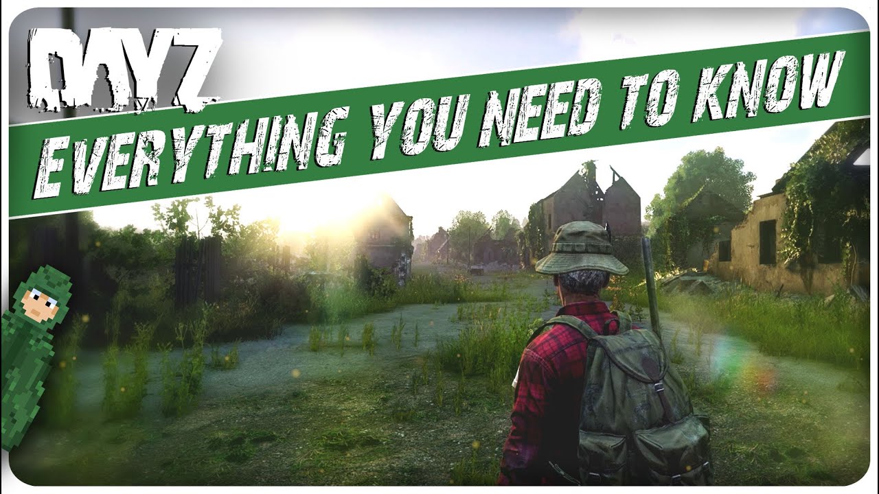The ONLY Livonia Beginner Guide You'll Ever Need | DayZ | PS XBOX PC