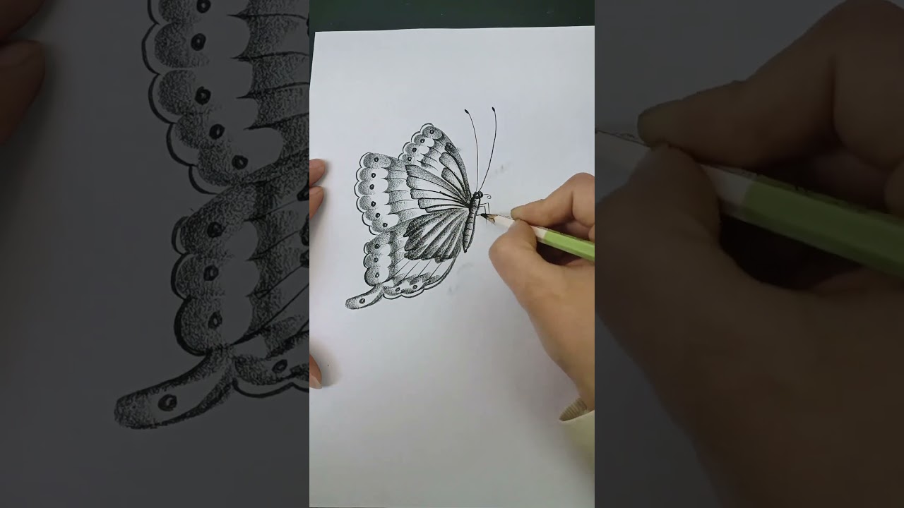 Butterfly and Flower #Learn to draw #Charcoal drawing #Drawing is actually very simple #art #Shorts