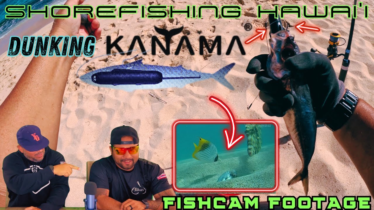 SHOREFISHING HAWAI'I: MOKES WHAT GET PT 2- DUNKING KANAMA BAIT