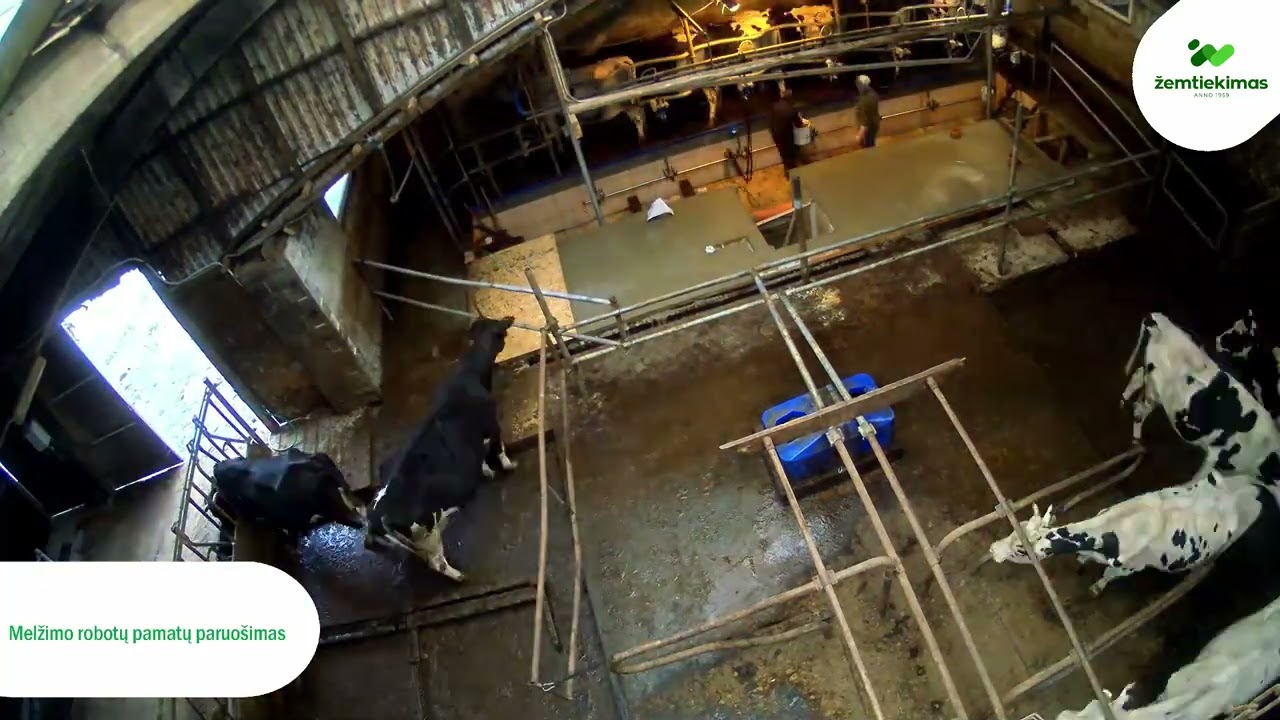 Dviejų robotų GEA Dairy Robot R9500 Multibox sistema - Žemtiekimas