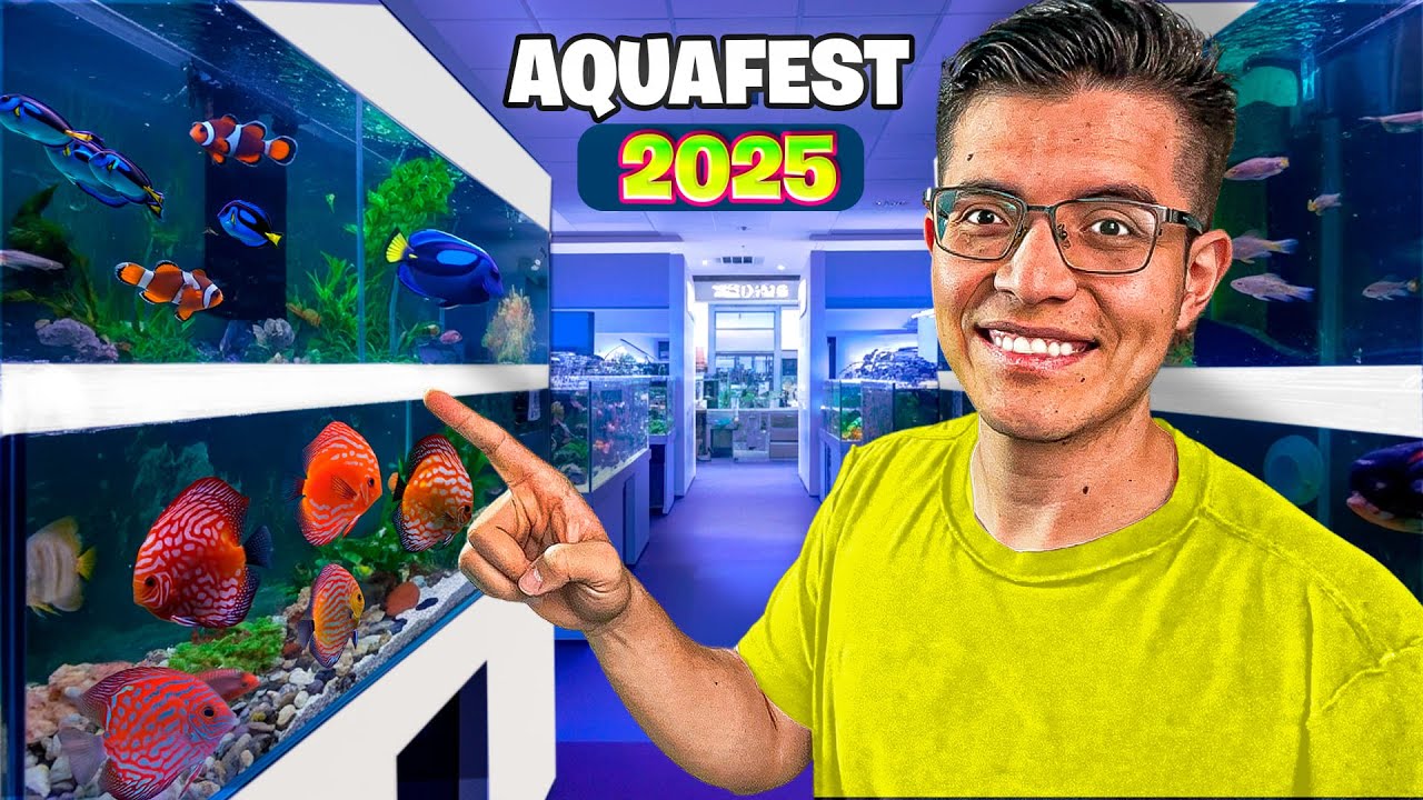 ¡TODOS los STANDS del AQUAFEST 2025 en un solo video! 🐠 ¡Recorrido COMPLETO sin cortes!