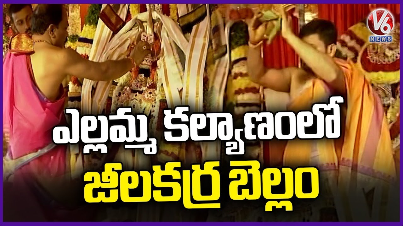 Jeelakarra Bellam Ceremony In Balkampet Yellamma Kalyanam 2025 | V6 News