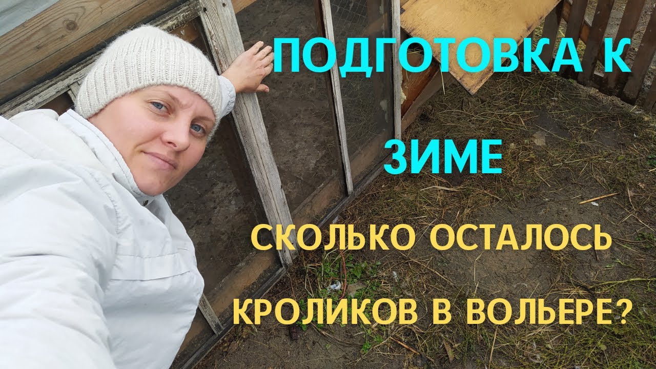 Подготавливаем вольер к зиме. Количество кроликов которые будут зимовать в вольере.