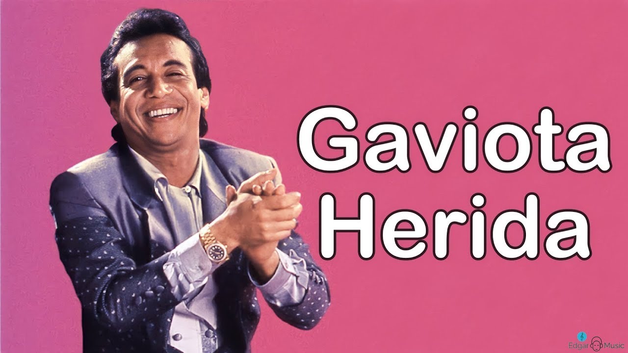 GAVIOTA HERIDA  - DIOMEDES DIAZ (KARAOKE)