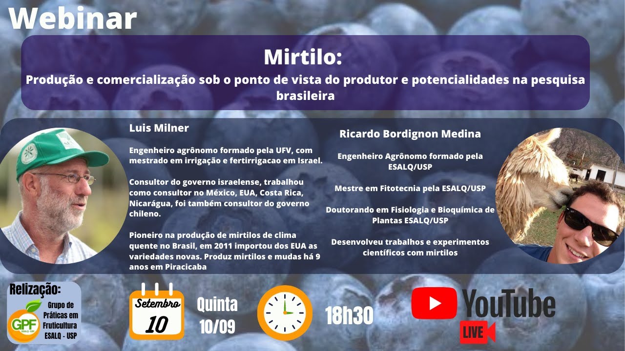 Webinar GPF: Mirtilo