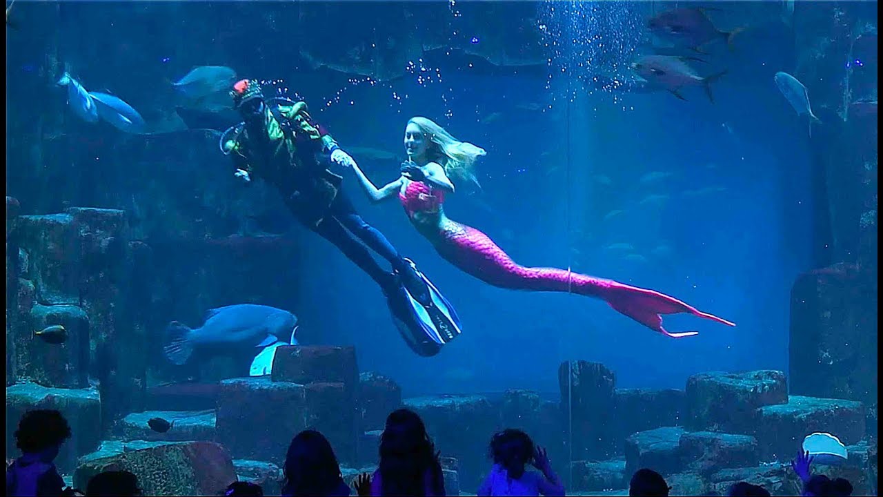 Un Prince rencontre une sirène !