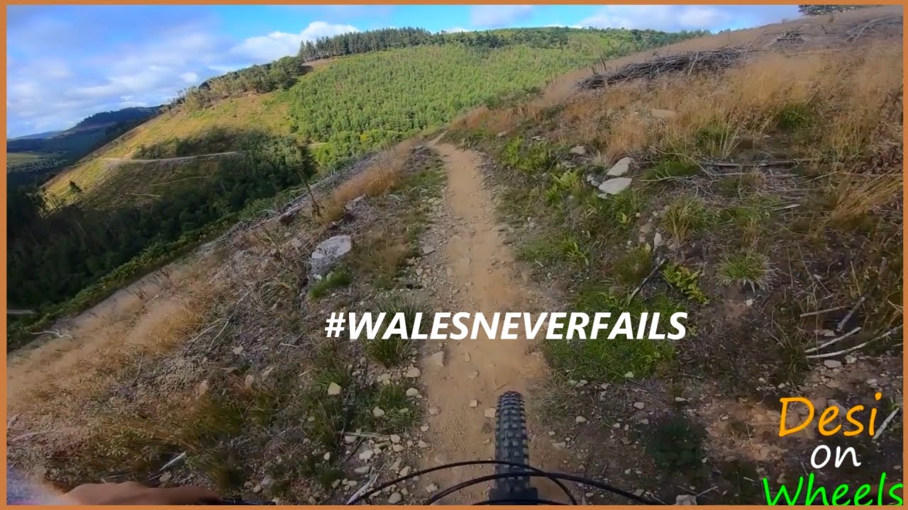 #Cafall Trail #Cwmcarn Forest #Wales