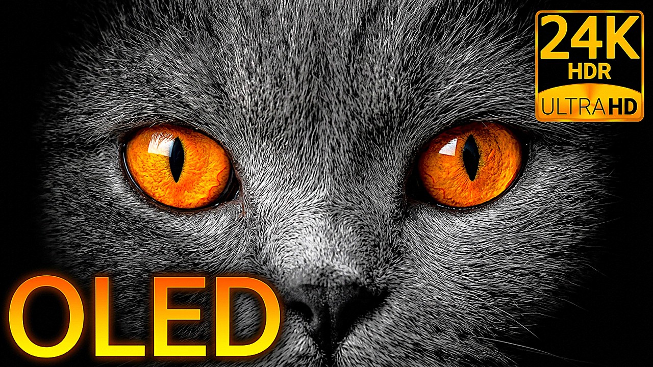 24K HDR 120FPS Animal Essence: Pure OLED Black & Detail (8K/4K Video)