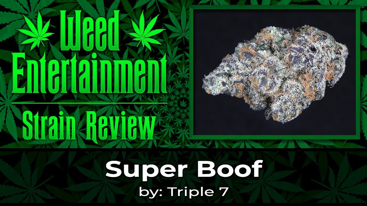 Super Boof - by Triple 7 - Strain Review - January 2023