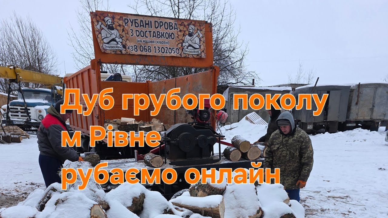 Дуб грубого поколу ,для клієнтів з м.Рівне ,рубаємо онлайн