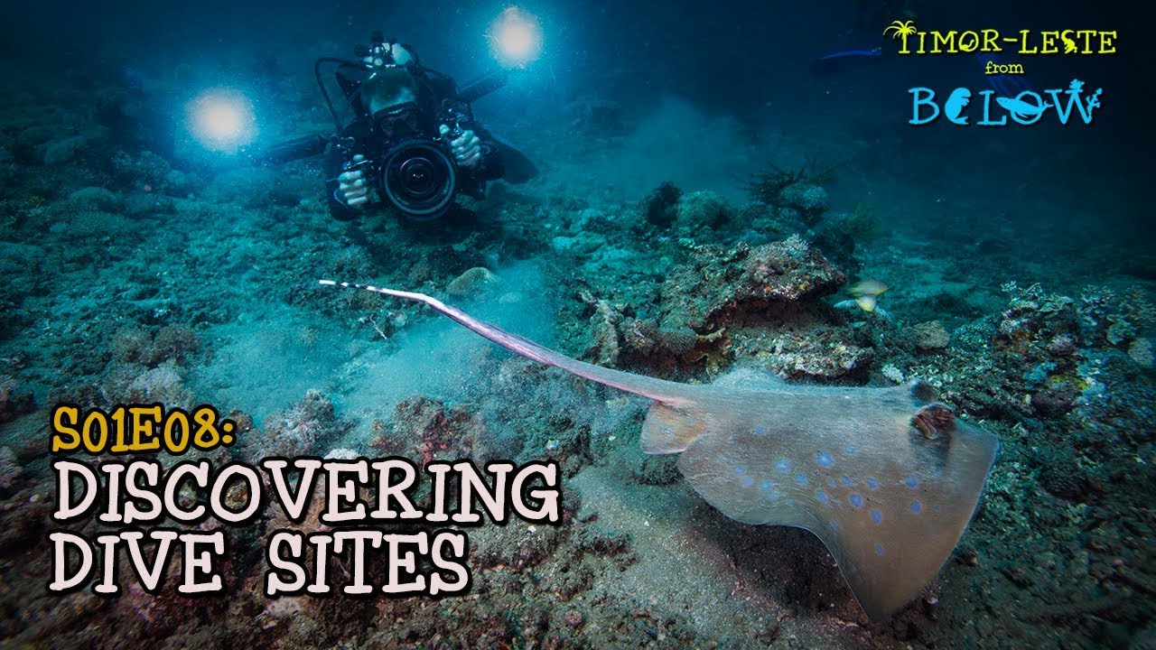 Discovering Dive Sites [4K] | Timor-Leste from Below (S01E08) | SZtv