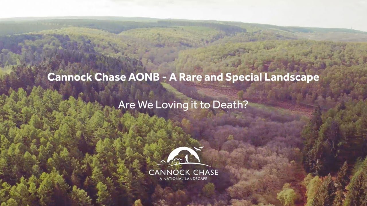 Sustainability Matters with ecologist Mike Dilger - Cannock Chase AONB, are we loving it to death?
