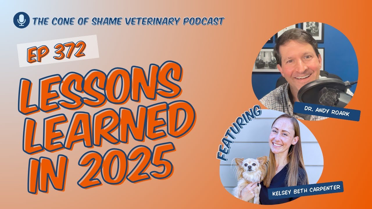 372 - Lessons Learned in 2025
