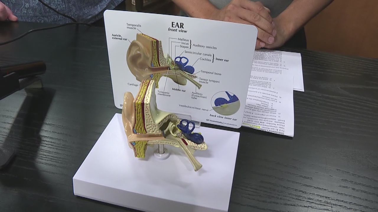 Miracle Ear: Easy hearing evaluation with video otoscope