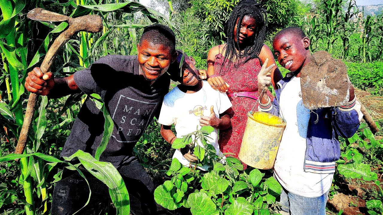 Agricultura em africa Moçambique 🇲🇿
