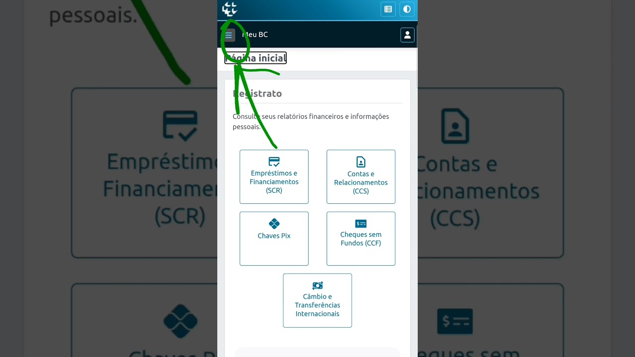como baixar o Relat&oacute;rio SCR pelo REGISTRATO BACEN