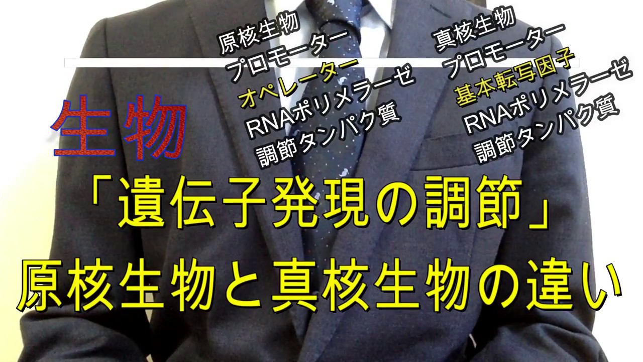 高校生物「遺伝子の発現調節」〜原核生物と真核生物の違い〜