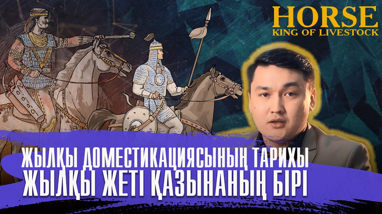 Жылқының алғаш қолға үйретілген отаны қай жер? «Жылқы – малдың патшасы» 1-серия