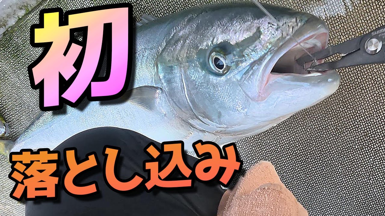 初・落とし込み｜何も分からず挑戦した初心者の実釣
